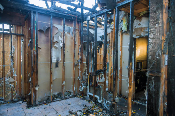 Professional Fire Damage Cleanup technician working in New Hope, MN
