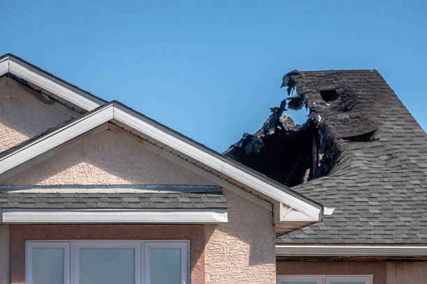 Top rated local Fire Damage Cleanup specialists in New Hope, MN